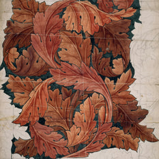 Acanthus, 1879-1881