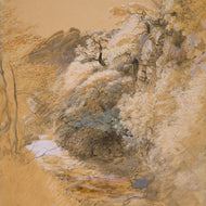 At Festiniog, North Wales